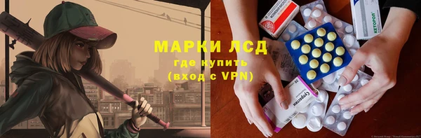 прущие грибы Алзамай