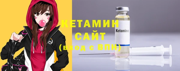 шишки Абаза
