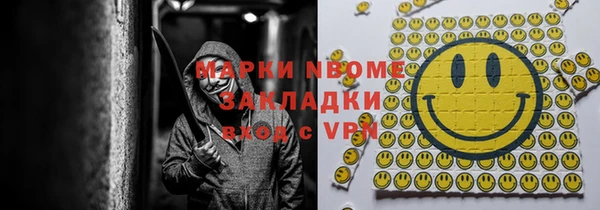 шишки Абаза